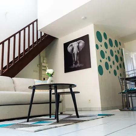 Duplex Cosy- Proche Centre Apartment *