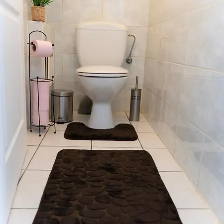 Duplex Cosy- Proche Centre Colmar
